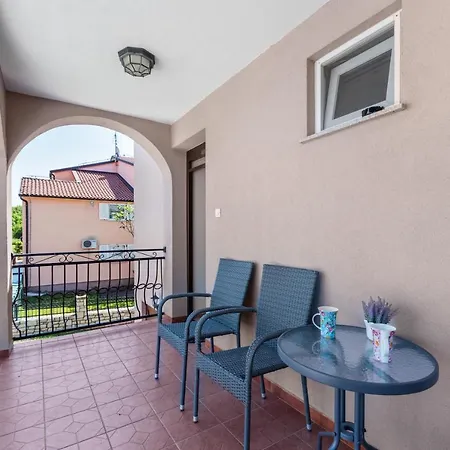 Apartments Morena Novigrad  Exterior photo